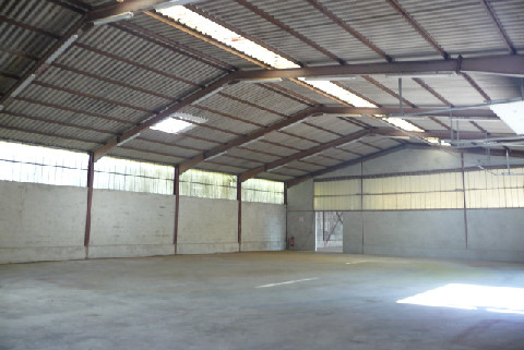 LOUER LOCAUX D ACTIVITES MARCKOLSHEIM